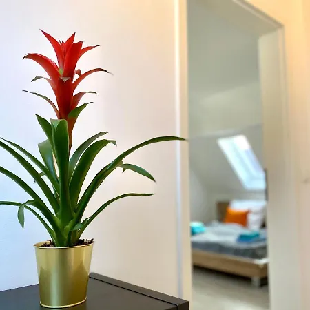شقة Bright - Super Spacious - King Bed, Kitchen, Free Parking اوغسبورغ